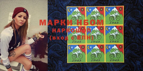 мдпв Бородино