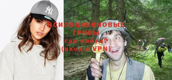 гашиш Богданович