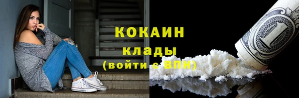 ECSTASY Богородицк