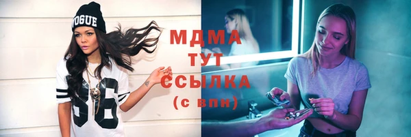 мдпв Бородино