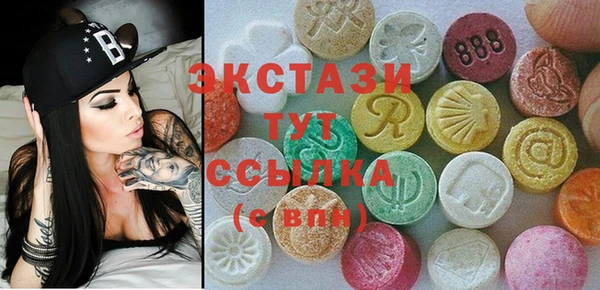 ECSTASY Богородицк