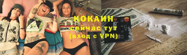 гашиш Богданович
