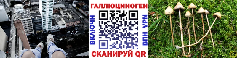 Псилоцибиновые грибы мухоморы  Демидов 