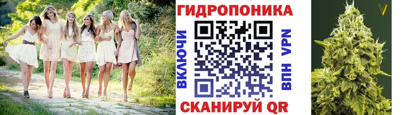 Конопля индика  Демидов 